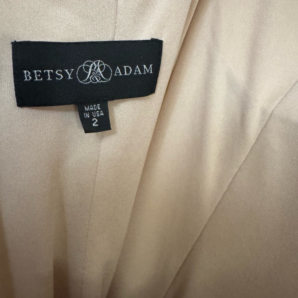 Betsy & Adam Lace Fit & Flare Dress - Size 2 - Picture 7 of 13